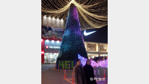 불 밝힌 LED 크리스마스트리