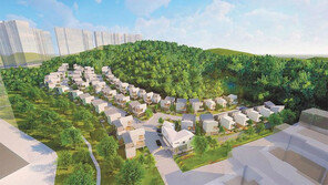 보라택지지구 내 단독주택형 타운하우스 눈길