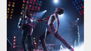 보헤미안 랩소디·완벽한 타인, 29일만에 나란히 500만명↑