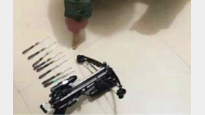 “보신탕 먹고 싶어”…석궁으로 개 3마리 사냥한 중국 남성 ‘철창행’