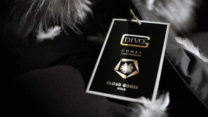 패션업계 겨울철 맞아 ‘다운 충전재’ 품질 경쟁 각축 