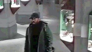 2억원짜리 르누아르 풍경화, 오스트리아 빈 경매장서 도난