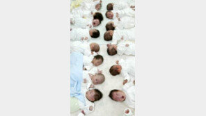 출산장려금 250만원에 시큰둥? …“결혼장려금·등록금이 현실적” 대안 봇물 