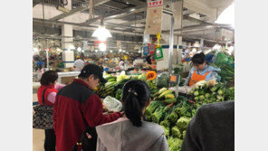 “지갑 없이 생활한 지 1년” 中 QR코드 결제시장 경험해보니…