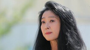 “부녀회장 아들이 노트북 훔쳐”…김부선 명예훼손 벌금형