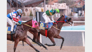 김용근 기수, 농협중앙회장배 2연패