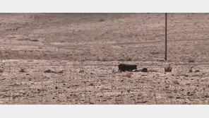 2015~2018년, ‘사상 최고로 더웠던 해’ 1~4위 기록