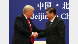 G20서 美中 무역전쟁 ‘휴전’ 하나…WSJ “추가관세 보류 물밑 논의”