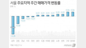 비수기에 정부규제까지…서울 집값 3주 연속 하락
