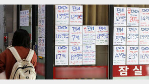 “기존 부동산 규제가 워낙 강해서”…전화벨도 멈춘 부동산중개업소