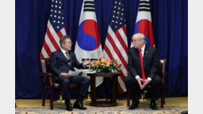 한미, 고위급 경제협의회 내달 7일 워싱턴서 개최…文정부 출범 후 처음