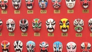 [고양이 눈]얼굴