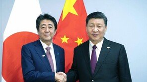 시진핑·아베 정상회담…“한중일 FTA-RCEP 협상 속도낼 것”