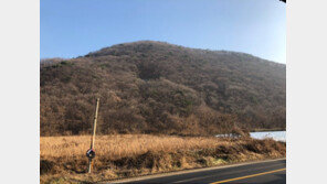 현장도 안 보고 ‘묻지마 투자’…남북 접경지에 기획부동산 ‘기승’