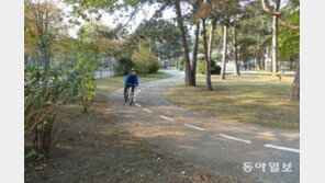 “어릴적부터 교통안전 익혀야”…한국 면허시험 수준 교육 받는 스위스 초등생들