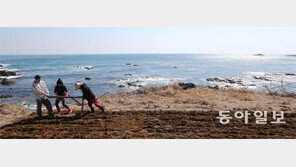 포항 구룡포 앞바다서 어선 전복…선원 2명 의식 없어