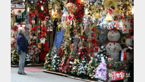 [청계천 옆 사진관] 크리스마스, 설레이는 도심풍경 