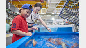 아쿠아플라넷 제주, 체험 프로그램 ‘시크릿 탐험’ 론칭