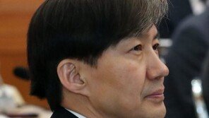 與 ‘조국 구하기’ 총력…박광온·표창원·안민석 이어 이해찬이 쐐기 ‘팍’