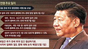 벼랑 끝에서 멈춘 美中… ‘기술 도둑질 방지’ 사활 건 협상 예고 