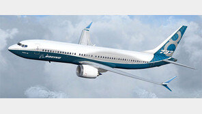 “멀리 더 멀리” 저비용항공사 新기종 공중전 