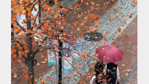 [날씨]3일 날씨 풀려 ‘따뜻’…남해안·제주도 오전까지 강한 비