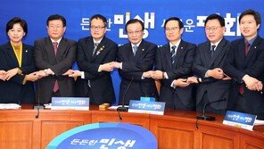 이해찬, 이재명 질문에 “아직 정무적 판단 하지 않아”