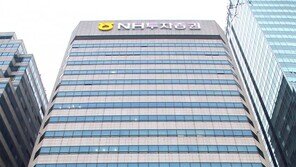 정영채 NH증권 사장의 굴욕…인니 증자 요청에 전원 거부