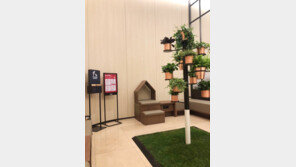 스타필드, 국내 최초 ‘도그라운지’ 설치