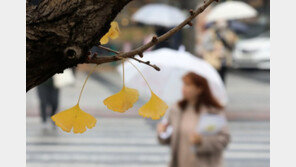 [날씨] 4일 전국 미세먼지 ‘나쁨’…중부 오전 ‘황사비’