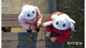 [고양이 눈]풀꽃 반지