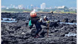 대지와 바다, 지친 삶 품다… 제10회 제주 국제사진공모전