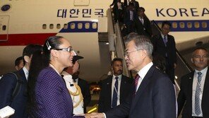 文대통령 “김정은 답방 시기보다 비핵화 촉진·진전”…한-뉴질랜드 정상회담