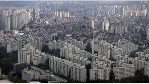 ‘아파트값 클수록 많이 오른다?’…소규모단지도 급등, 왜?