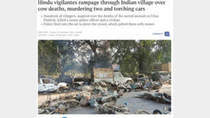 인도 힌두교도들, 소 사체에 격분…차량 불태우고 2명 살해