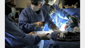 미혼 암환자 생존율 낮은 이유?…의사의 치료 적극성 부족