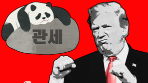 “中의 美수입차 관세철폐…승자는 한국과 일본”