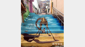 [고양이 눈]뭐가 보이니?