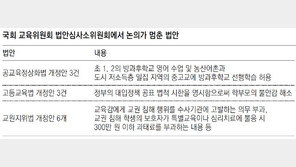 유치원法 싸움에 묻힌 ‘방과후 영어’