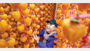 “겨울엔 곶감이 최고죠”