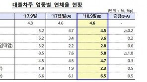 저축은행 대출 1년새 16% 증가…가계 연체율은 상승