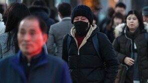 [날씨] 하루 새 15도 ‘뚝’…중부지방 첫 한파주의보 본격 추위