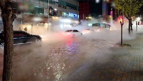 “10층 건물보다 높게 증기 치솟아” 백석역 인근 온수관 파열로 아수라장