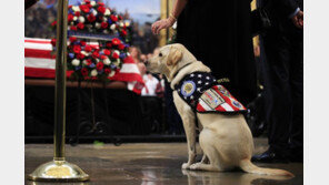 “아빠 잘 가세요”…조문 온 ‘아버지 부시’ 반려견 설리