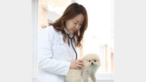 “반려견 양육비 월10만원↑…고양이는 2만5000원 덜 들어”