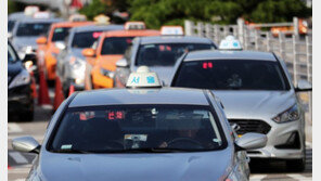 서울시, 여성전용 예약택시 연내 인가…펫택시도 도입