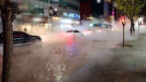 정의당 “백석역 인근 온수관 파열 사고, 인재…기본 안지켜 인명피해”