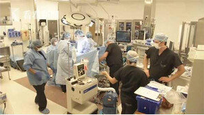 브라질서 뇌사여성 자궁이식해 출산에 성공…세계 최초