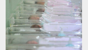 민간 베이비시터 ‘관리 제로’…아기만 고통 속에 죽어갔다