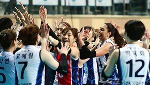 두 번의 실수는 없다…IBK기업은행, 셧아웃 승리로 2위 도약